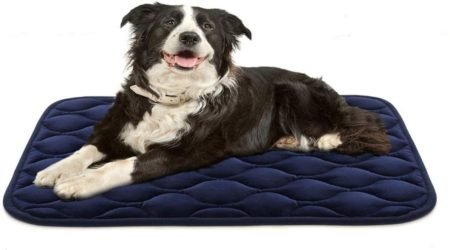 What Should Be in Mind While Selecting Dog Crate Pad?