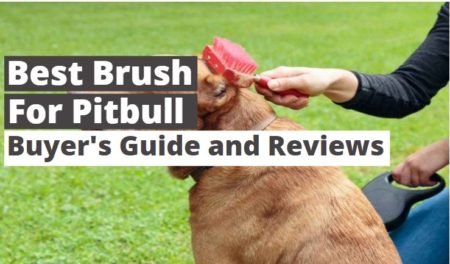 Top 10 Best Brush for Pitbull in 2023 (Reviews & Buying Guide)