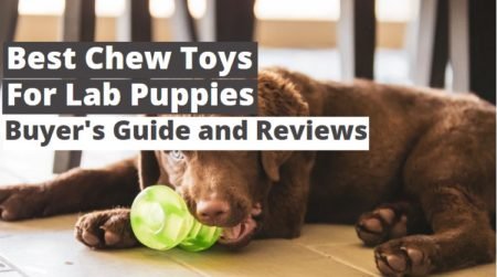 Top 10 Best Chew Toys for Lab Puppies in 2025 (Reviews & Buying Guide)