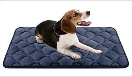 Top 10 Best Crate Pads For Destructive Dogs in 2025 (Reviews & Buying Guide)