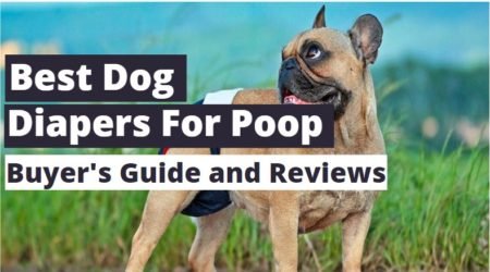 Top 10 Best Dog Diapers for Poop in 2025 (Reviews & Buying Guide)