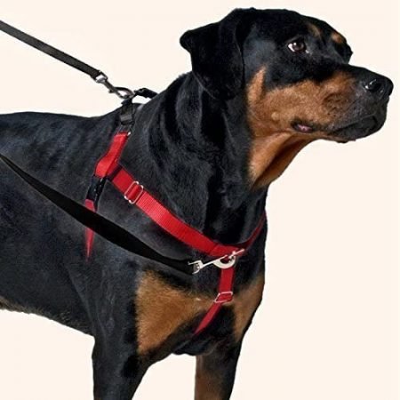 2 Hounds No Pull Dog Harness Medium – XX Large