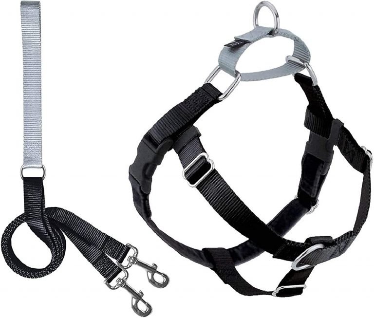 2 Hounds No Pull Dog Harness with Leash Large