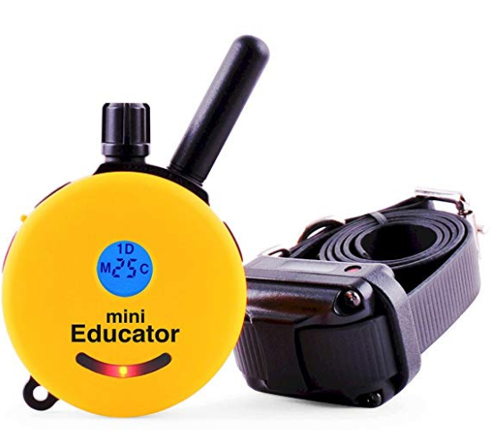Educator E Collar Remote Dog Training Collar