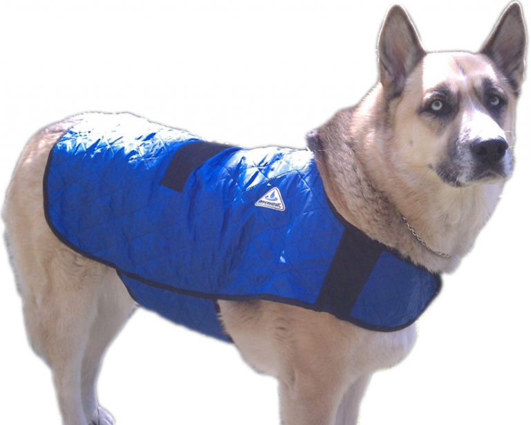 Top 10 Best Dog Cooling Vests Reviews August 2024