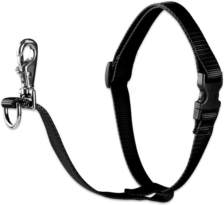 LUPINE NO PULL HARNESS