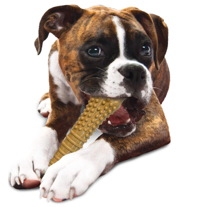 Nylabone Puppy Chew Toys for Teething Puppies