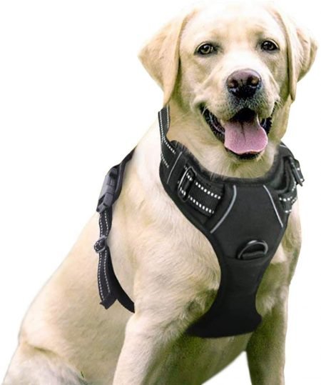 RABBITGOO DOG NO PULL PET HARNESS