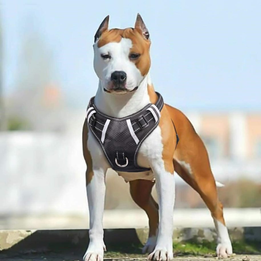 Top 10 Best No Pull Dog Harness for Large Dogs in August 2024