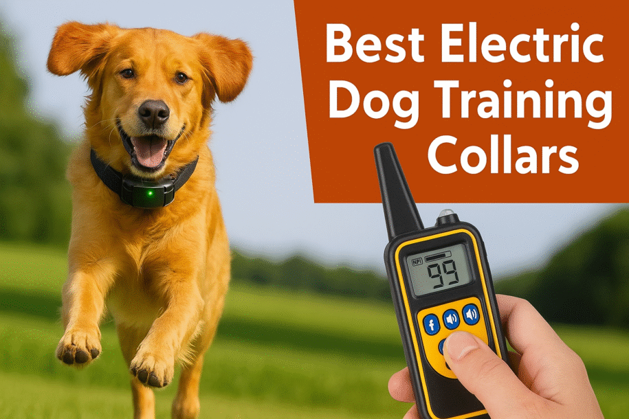 Top 10 Best Electric Dog Training Collars Reviews in 2025 ( Buying Guide )
