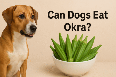 Can Dogs Eat Okra? Benefits, Risks, and Safe Feeding Tips!
