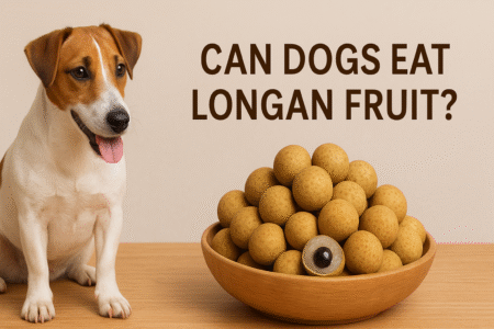 Can dogs eat longan fruit?