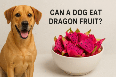 Can a dog eat dragon fruit?