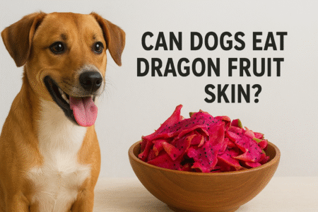 Can dogs eat dragon fruit skin?