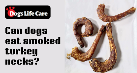 Can dogs eat smoked turkey necks?