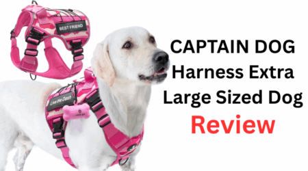 Best Harness for Large Dog: Captain Dog Tactical Harness Review