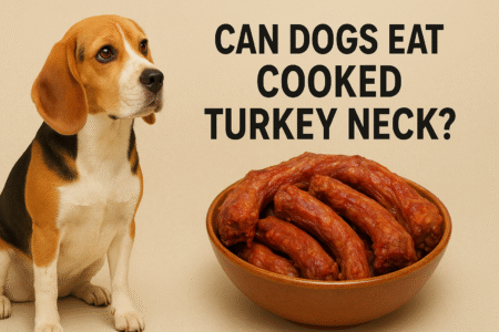 Can dogs eat cooked turkey neck?