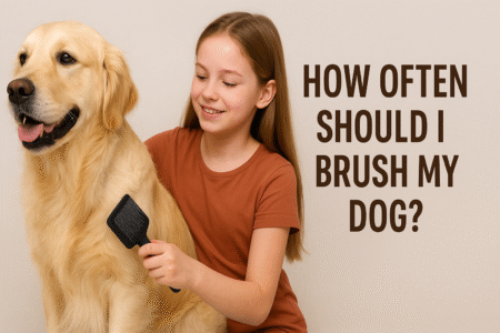 How Often Should I Brush My Dog?
