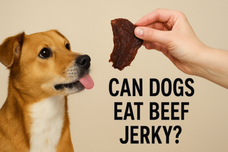 Can Dogs Eat Beef Jerky?