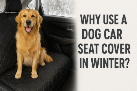 Why Use a Dog Car Seat Cover in Winter: Clean, Warm, and Safer Rides