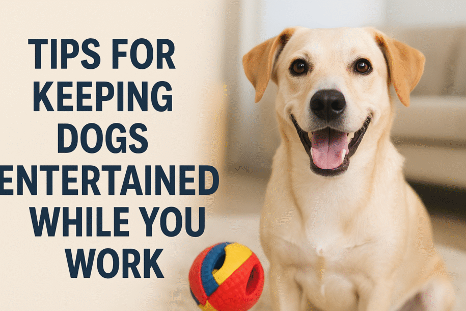 Tips for Keeping Dogs Entertained While You Work
