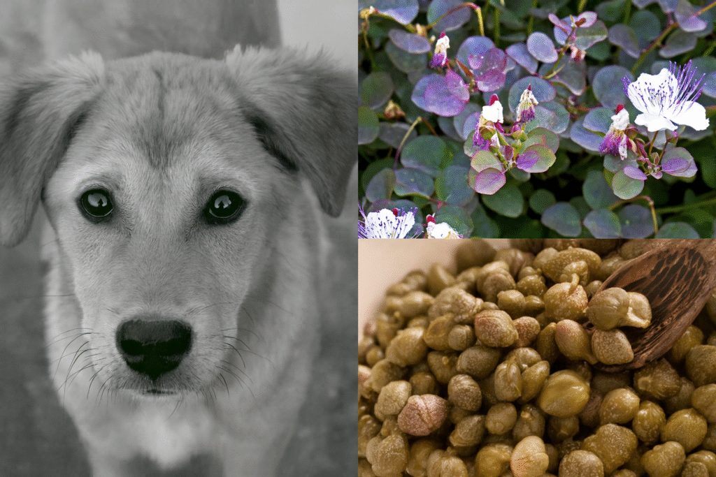 ChatGPT Image Oct 28 2025 03 43 41 PM