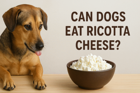 Can dogs eat ricotta cheese?