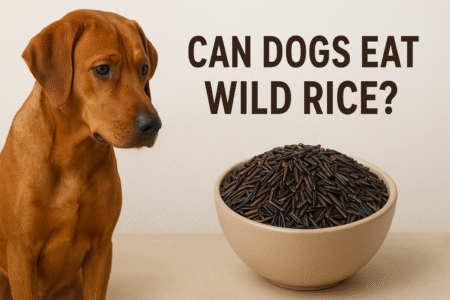 Can dogs eat wild rice?
