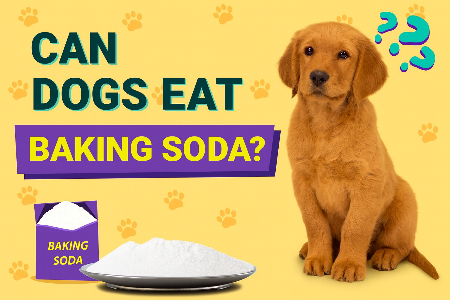 Can Dogs Eat Baking Soda? Safety Facts, Risks, and Vet-Backed Advice