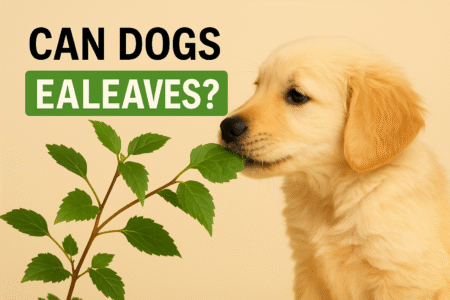 Can Dogs Eat Leaves? Risks, Safer Swaps, And What To Do