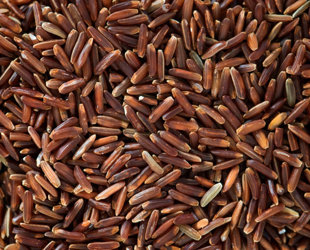 can dogs eat wild rice?