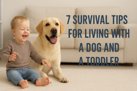 7 Survival Tips for Living With a Dog and a Toddler
