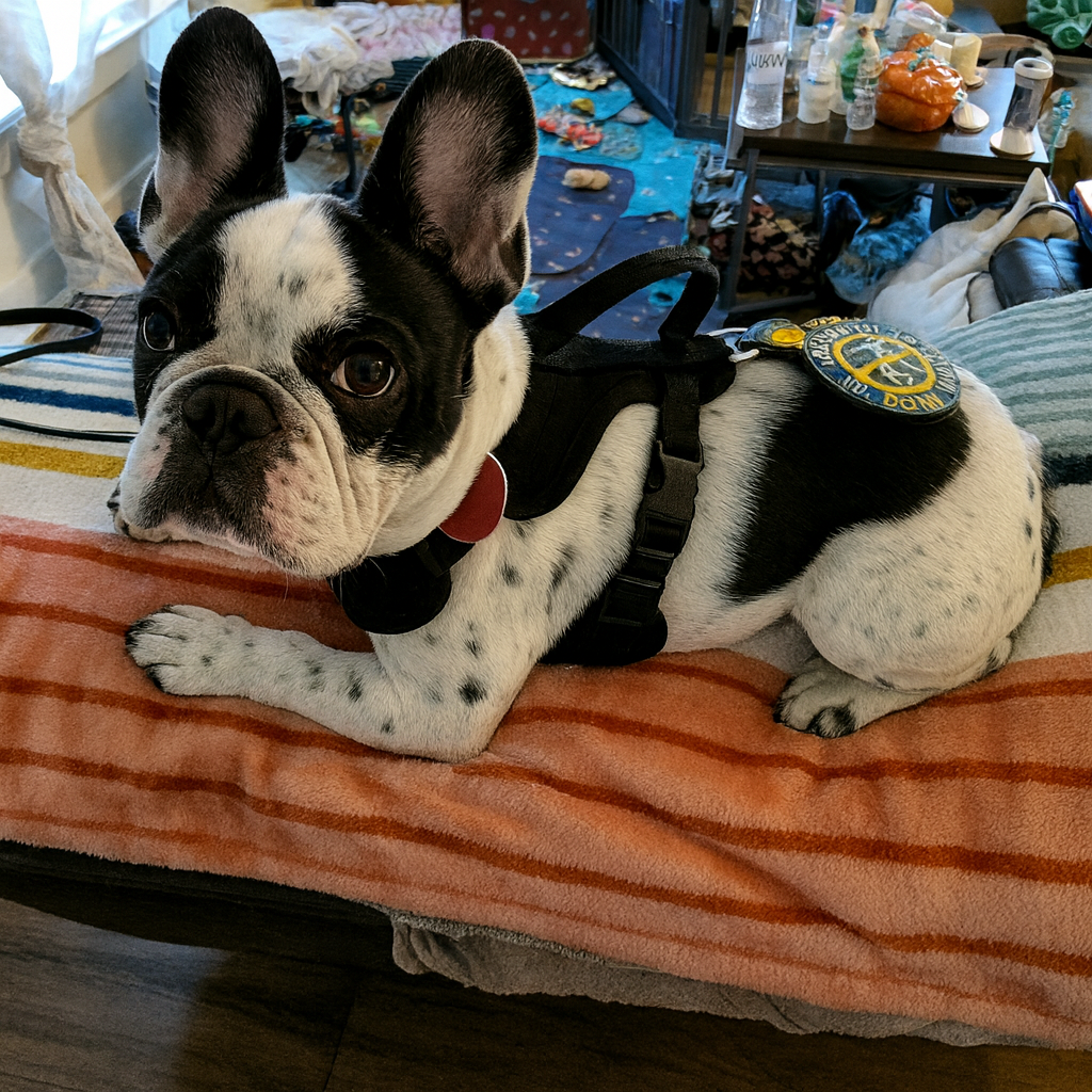 ChatGPT Image Nov 22 2025 04 30 01 PM