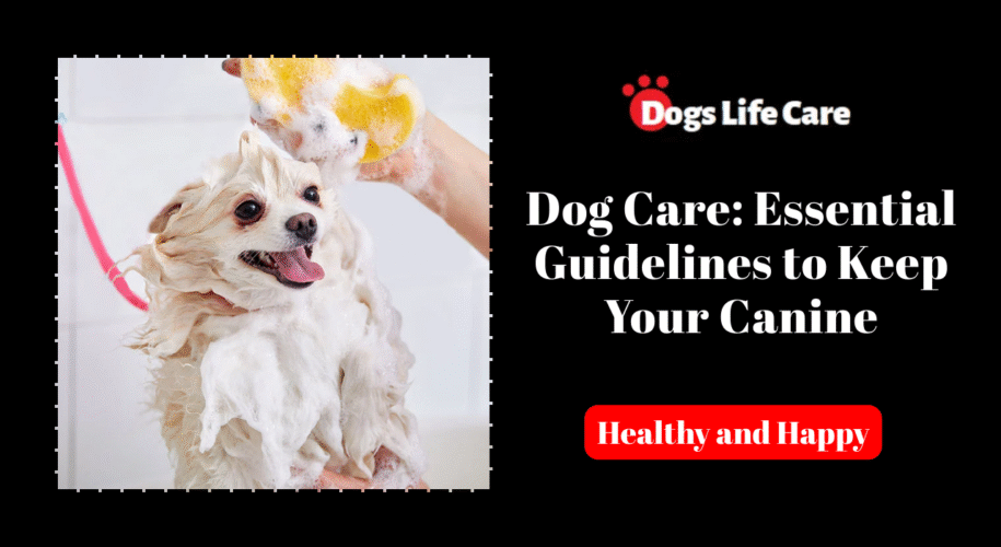 Dog’s Care: Essential Guidelines for Keeping Your Canine Healthy and Happy