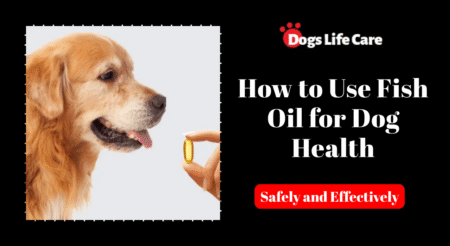 How to Use Fish Oil for Dog Health Safely and Effectively
