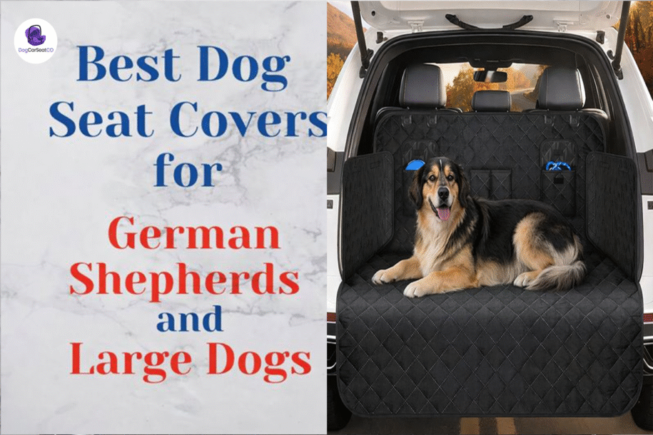 Best Dog Seat Covers for German Shepherds and Large Dogs