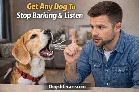 Get Any Dog To Stop Barking & Listen